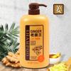 Champú de Jengibre y Sésamo Negro Anticaspa Anti-Picazón Refrescante Esponjoso Champú de Semilla de Té Champú Fabricante Mayorista Genuino