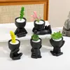 Plantas em Vasos Pequenas Transfronteiriças para Decoração de Sala de Estar, Plantas Verdes Estilo Ins, Bonsai de Mesa, Plantas em Vasos para Casa, Podem Ser Rotuladas e Enviadas