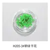 Estilo Ins japonés flor seca para uñas joyería pétalos pequeños Cielo Estrellado 12 rejillas colorida encaje flor decoración de uñas flor
