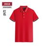 Polo de Verão Camiseta de Manga Curta Algodão Penteado Dupla Pontada Camiseta Inter-color Gola Lapela Bordada Roupa de Trabalho Estamparia e Impressão