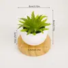 Venta al por mayor transfronteriza de suculentas artificiales, arreglos de mini suculentas falsas, adornos decorativos de plantas verdes