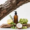 Orvalho Matinal Vento Claro Óleo de Massagem Corporal Óleo Essencial Aromaterapia Óleo Essencial Óleo de Massagem Uso para Amostragem Industrial