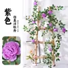 Enredaderas de Peonías Artificiales para Decoración de Paredes Florales de Jardín de Bodas, Flores de Seda, Vegetación Artificial, Enredaderas de Flores de Peonía Artificiales