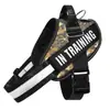 Correa para Perro Chaleco para Pasear Perros Collar Perro Grande Golden Retriever Labrador Perro Teddy Correa de Cadena para Perro