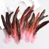 Plumas de Cola de Gallo de Colores 15-20 Manualidades DIY Tocado Indio Performance Juguete para Gato Plumas de Volante