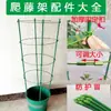 Suporte de Escalada em Corda Suporte de Flores Espessado Vaso Árvore da Fortuna Epiphyllum Flor Rosa Haste de Suporte Fixa para Plantas Floridas