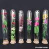 Frasco Sellado de Borosilicato Alto Cubierta de Vidrio a Prueba de Polvo Cubierta de Vidrio Transparente Sellada para Flor Seca Tubo de Ensayo para Flor Seca