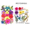 Bolsa de Flores Secas para Manualidades con Flores en Relieve, Marcapáginas de Flores en Relieve, Bolsa de Flores en Relieve, Material para Pintura en Relieve, Pegamento para Flores Reales, Hojas Secas