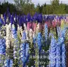 180 Variedades de Sementes de Flores Não Repetitivas, Fáceis de Cultivar em Todas as Estações, Podem Afastar Mosquitos, Adequadas para Varandas Internas e Externas, Distribuição Transfronteiriça