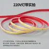 Fonte de Alimentação sem Driver para Fita de LED Cob Alta Tensão 220V Decoração de Casa LED Teto Rohs Plug-and-Play Transfronteiriço Fita de LED