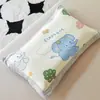 2026 Nuevo Modelo Clase A Funda de Almohada de Ratán Hielo para Niños Funda de Almohada para Jardín de Infancia Funda de Almohada para Niños Funda de Almohada Individual