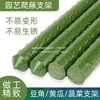 Enrejado para guisantes, Enrejado para pepinos, Estructura de soporte para frijoles trepadores, Enrejado para huerto, Estante de plantación de verduras, Poste de soporte para plantas