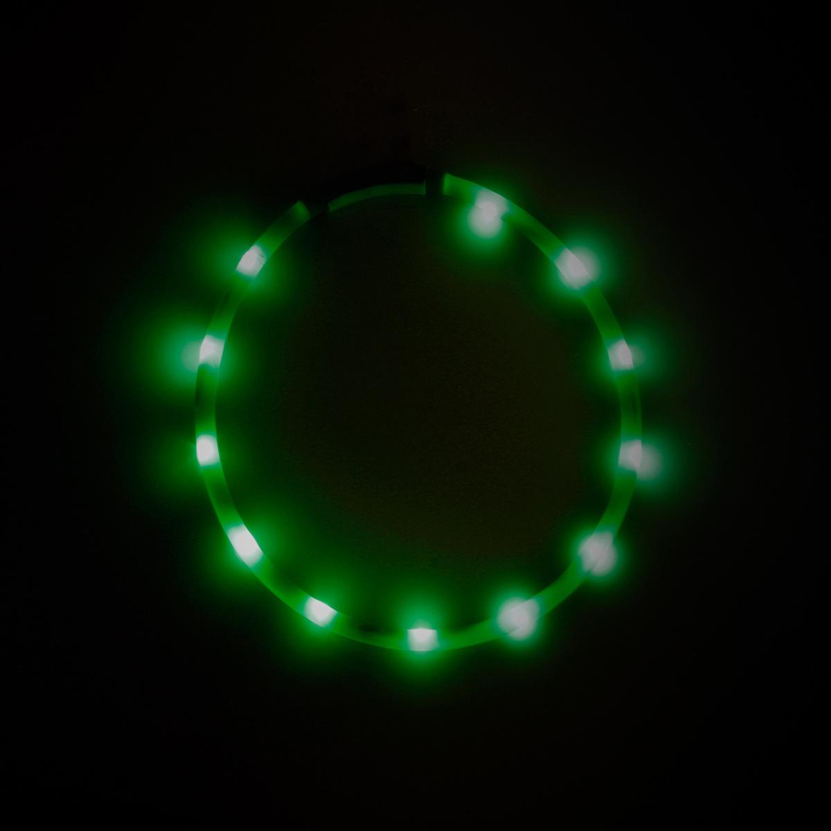 LED发光颈圈 (13).jpg