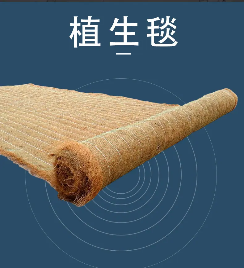 详_02.jpg