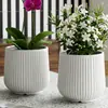 Macetas de Plástico de Gran Diámetro, Árboles Artificiales, Macetas Decorativas de Flores Artificiales, Macetas de Pie, Botellas Ecológicas con Forma de Huevo, Macetas de Tesoro de Plástico, Accesorios