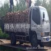 Leña de Madera Procesada, Leña de Madera de Azufaifo para Calefacción de Chimenea, Leña Seca, Madera Dura, Duradera para Quemar, Ahumar, Asar Alimentos, Madera de Fruta Especial para Asar Pato