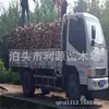La leña de alta calidad de madera de azufaifo siempre está disponible en grandes cantidades.. Se utiliza para asar patos, como leña para plantas de calefacción eléctrica y para hornos. La madera es dura y duradera