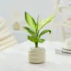 Plantas Pequenas em Vasos para Interior Bbk, Plantas Verdes Fáceis de Cuidar para Mesas de Escritório, Bonsai Florido para Todas as Estações