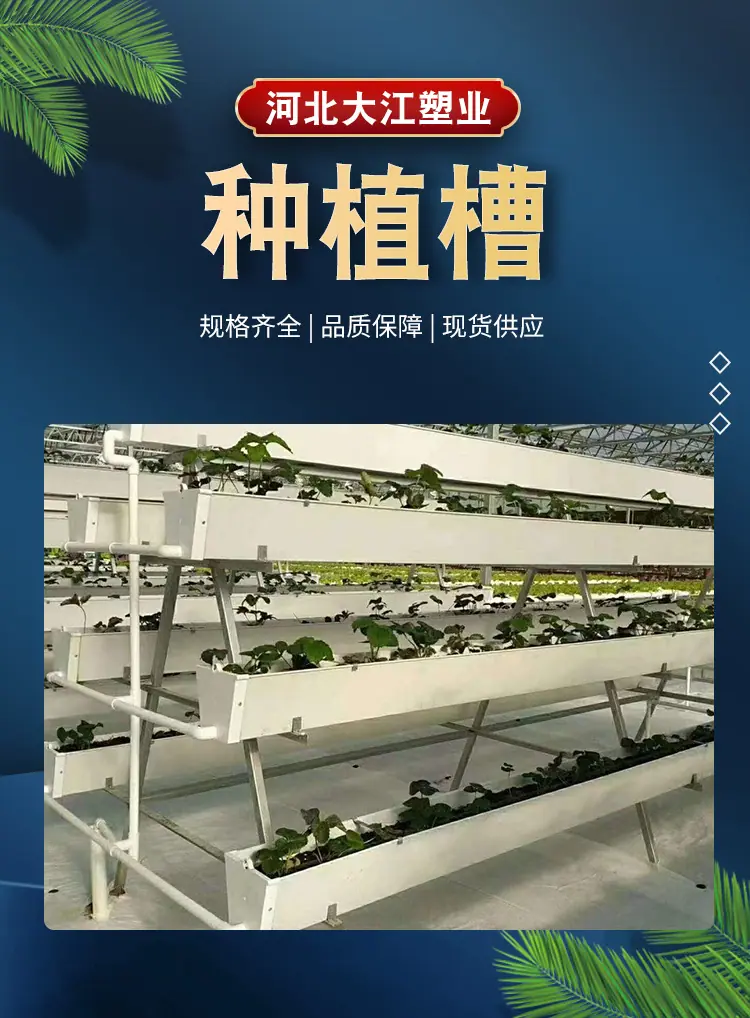 详情1.jpg