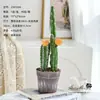 Bonsái Combinado de Cactus Flores Artificiales Plantas Tropicales Plantas en Maceta Adornos de Interior Suculentas de Alto Grado Transfronterizas Cactus