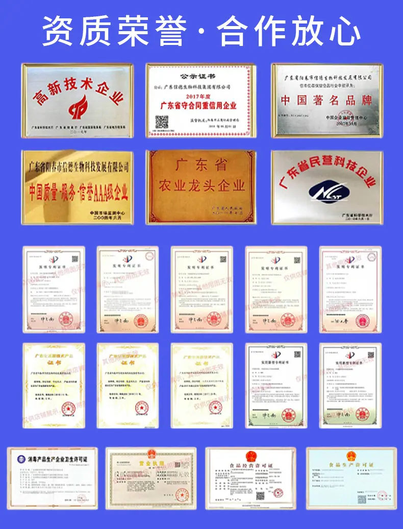资质荣誉