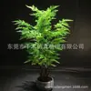 Comércio exterior simulação árvore samambaia casa nórdica bonsai adereços filmagem de cinema e televisão ornamentos samambaia em vaso fábrica vendas diretas