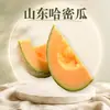 Melón Cantalupo de Hainan, Melón Dulce Fresco de Temporada de Xizhou, Primera Cosecha, Caja Completa, Fruta Fresca