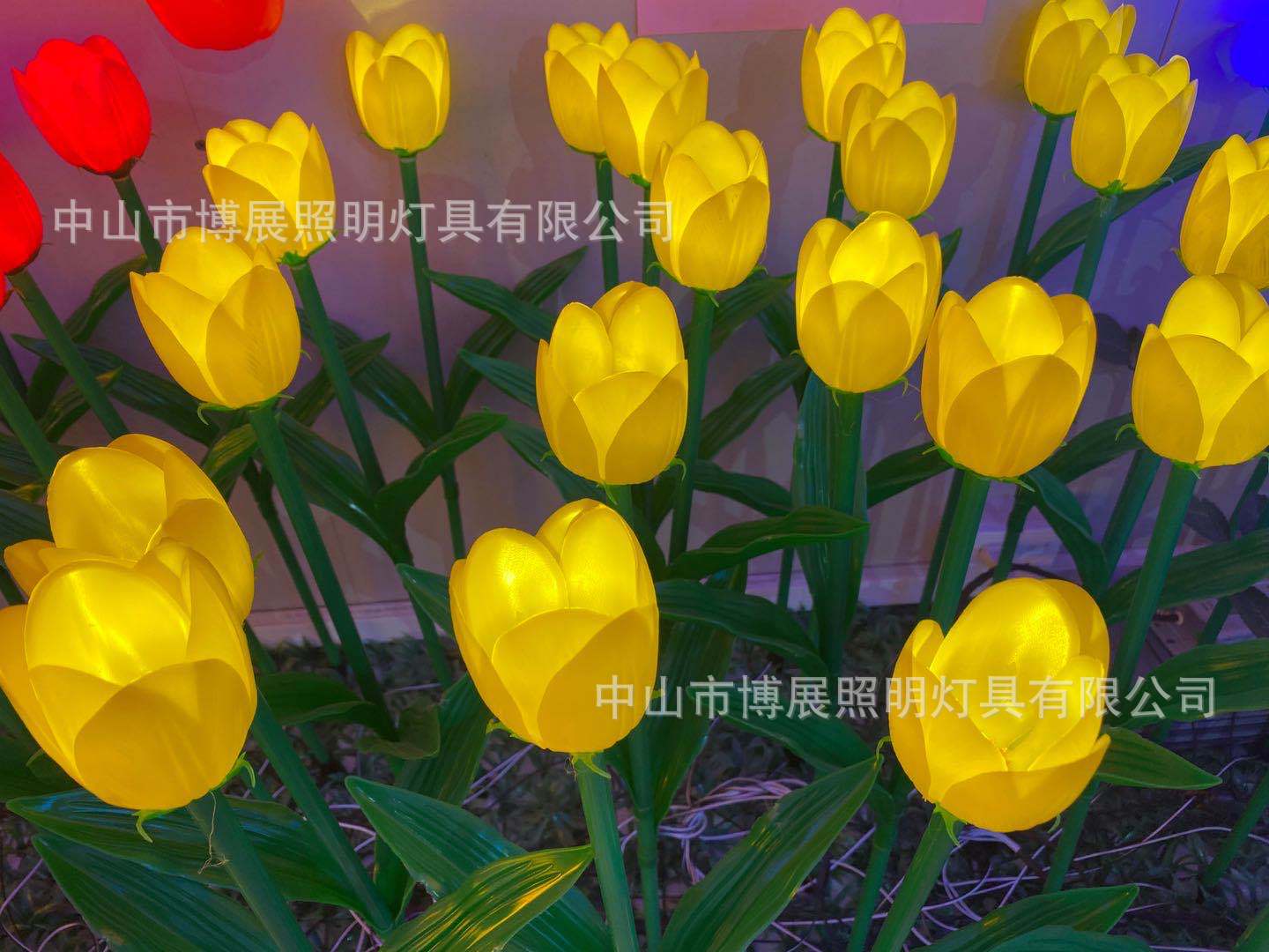 c8a736c8cc16c8d0cfb360e2624e31