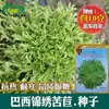 Semillas de Achicoria de Hoja Fina Splendid Bird's Nest Brasileño Semillas de Verdura de Huerta Achicoria de Corazón Amarillo