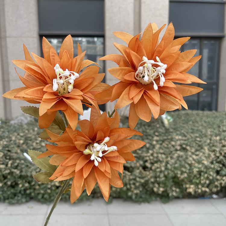 新3头大爪菊-sxftx-深桔.JPG