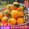 Naranjas de Jiangxi y Ganxi del Sur, Naranjas Navel 5 kg Fruta fresca de temporada, caja completa, auténticas, aptas para jugo, naranjas para gelatina, dulce de azúcar de roca