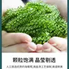 Uvas Marinas Saladas 100g Tiras de Algas Marinas Listas para Comer Verduras de Longevidad Verduras de Algas Marinas Alga Wakame Sushi Pescado Verde Mayoreo