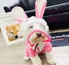 Perro gato mascota impermeable nuevo panda tiburón conejo pato animal de dibujos animados de cuatro patas poncho con visera transparente