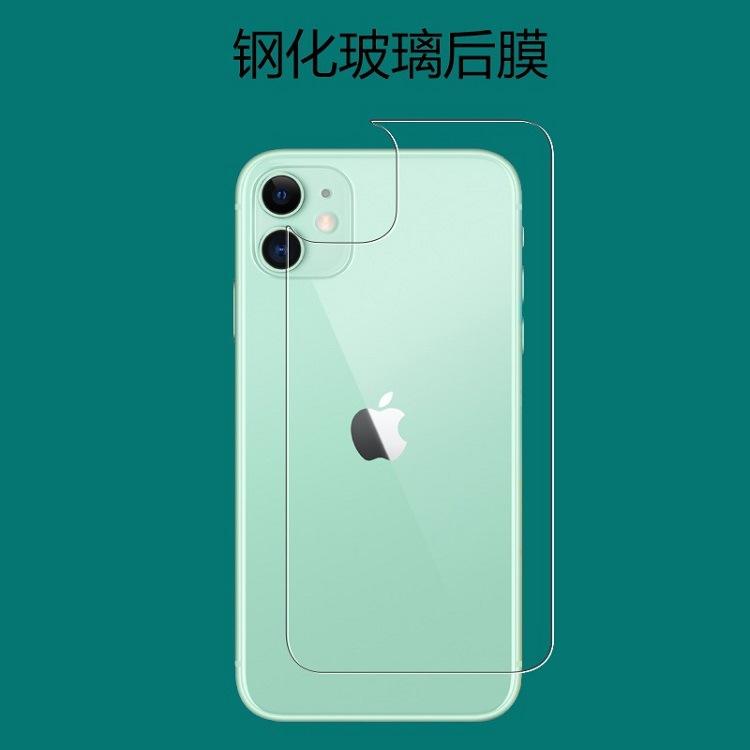 11后膜 (4)
