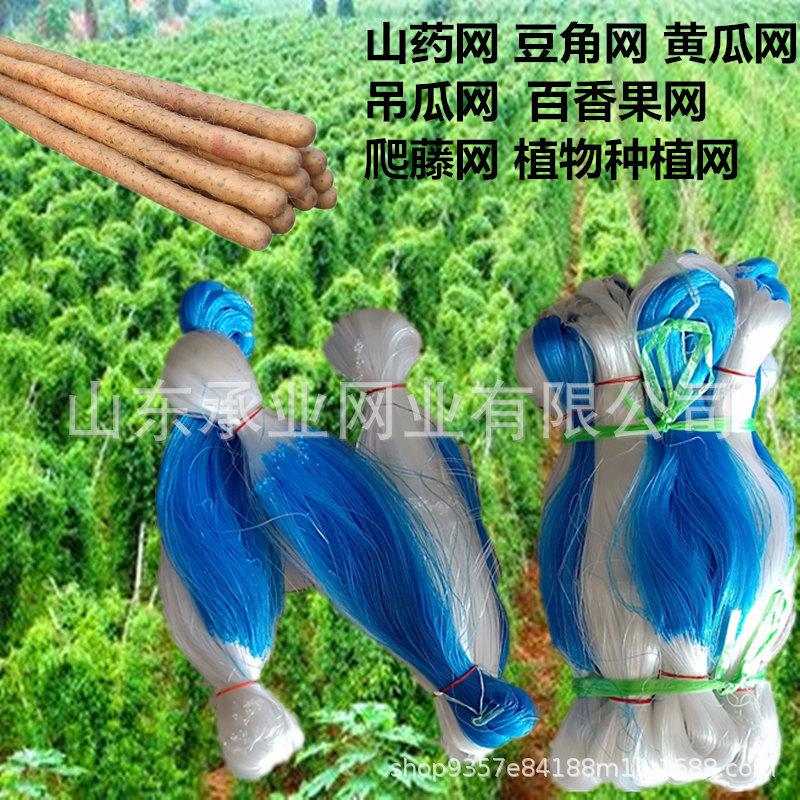2_副本