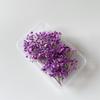 Flores Secas, Gypsophila, Flores Eternas, Materiales para Manualidades, Rosa, Decoraciones de Piñas, Regalos de San Valentín, Venta al por Mayor de Alta Gama