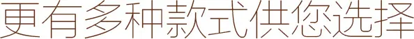 更有多种款式供您选择