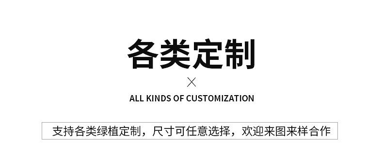 仿真盆栽内页修改_24