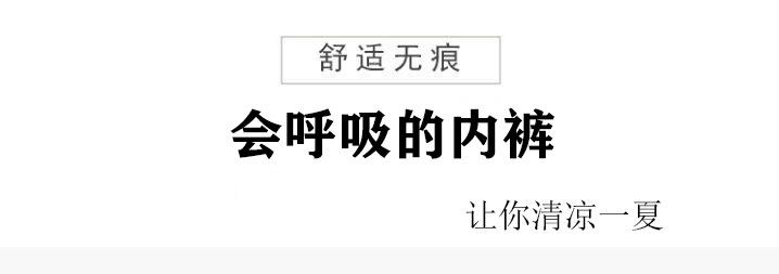 8811详情图中英文 (1)