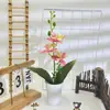 Tres Orquídeas Phalaenopsis con Macetas Altas Abiertas para Fotografía de Bonsái, Accesorios de Plantas en Maceta, Decoración de Hotel para Bodas, Adornos de Flores Artificiales