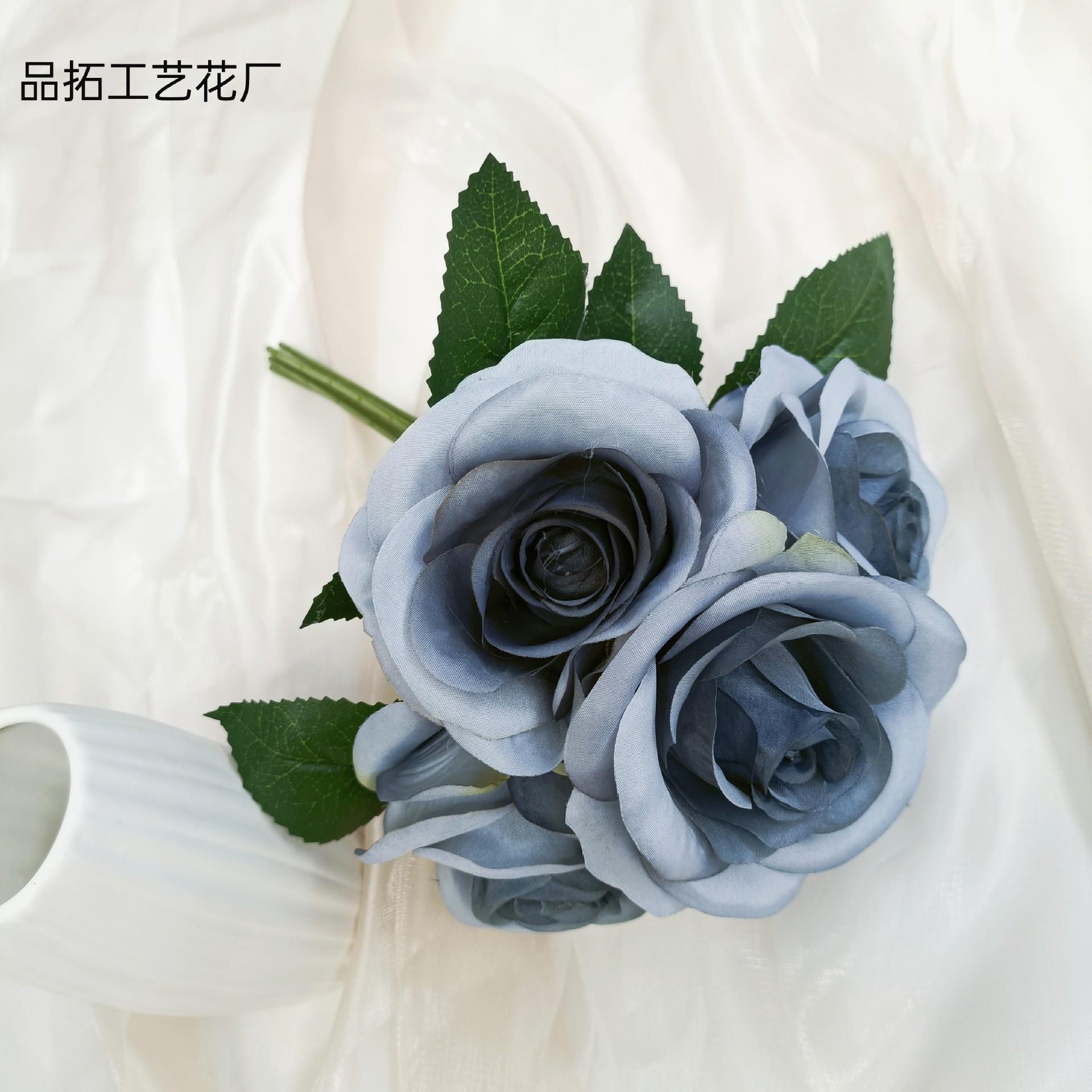 eba9686f522fdf419c3926f4c50303