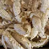 Chaozhou celebridade online artesanal patrimônio cultural imaterial tecelagem de bambu pequena gaiola de bambu pequeno barco barco dragão hortênsia gaiola longa gaiola de pintinho fábrica de festival atacado