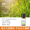 Vela de Aromaterapia para Plantas Transfronteriza Aceite Esencial Aceite Único Soluble en Aceite Jabón Artesanal DIY Jabón en Frío Bálsamo Vela Aceite Esencial de Aromaterapia