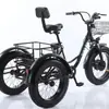 2025 Blackberry Iron Triciclo Eléctrico de 20 pulgadas con Rueda Ancha Bicicleta Asistida con Batería de Litio para Nieve Vehículo Eléctrico de Rueda Ancha
