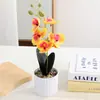 Nuevo Bonsái de Phalaenopsis Cilíndrico de Cinco Cabezas Fotografía Foto Arreglo Flor Artificial en Maceta Decoración Hogar Sala de Estar Artificial