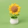 Girasol de Lana Transfronterizo en Maceta Flor de Lirio del Valle Nomeolvides Tulipán Adorno de Flor Artificial Temporada Escolar Regalo para Maestro