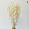 Flor Eterna flor de bienvenida frijol flor de Nochevieja flor mariposa flor seca ramo de flor eterna venta al por mayor cubo de bendiciones sauce plateado flor decorativa festiva