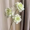 2026 Nuevo Modelo Plantas Verdes Artificiales Hierba de Espárrago Asparagus Asparaginea Decoración de Boda Flores Falsas Verdes Paisajismo Fotografía Plantas Verdes Estilo Bosque