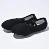 Venta al por mayor de fábrica Zapatos de baile para niños Zapatos de prueba de práctica para niños Zapatos de garra de gato Zapatos de rendimiento de yoga sin cordones