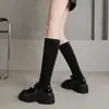 Botas de plataforma de moda con lazo y tacón grueso, botas ajustadas elásticas, nuevas botas altas elegantes y versátiles para otoño/invierno 2026